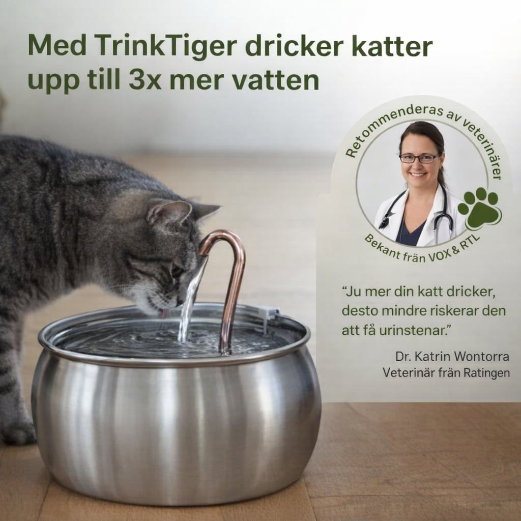 Katt dricker ur NordFlow kattfontän