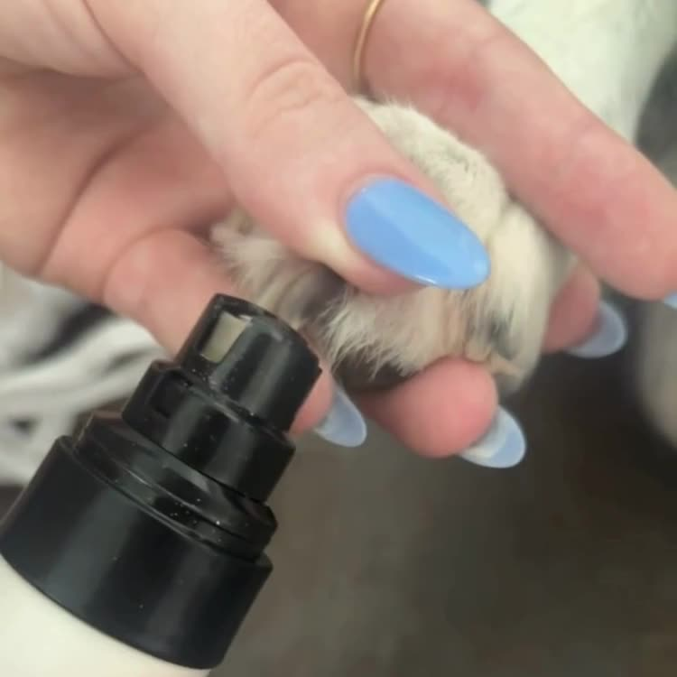 Silent Groom Pro – Tyst klotrimmer för husdjur